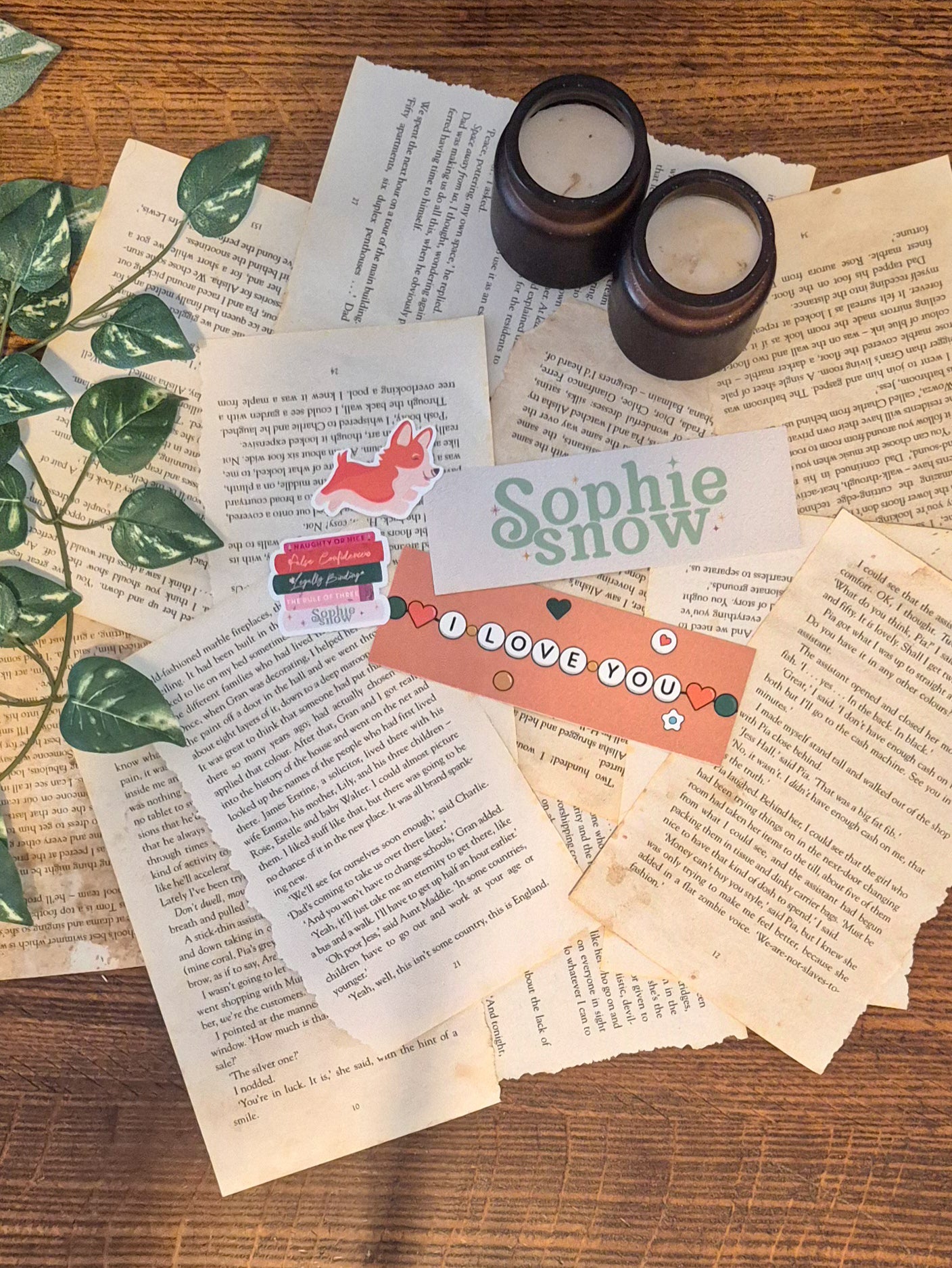 False Confidence by Sophie Snow (alternative cover)