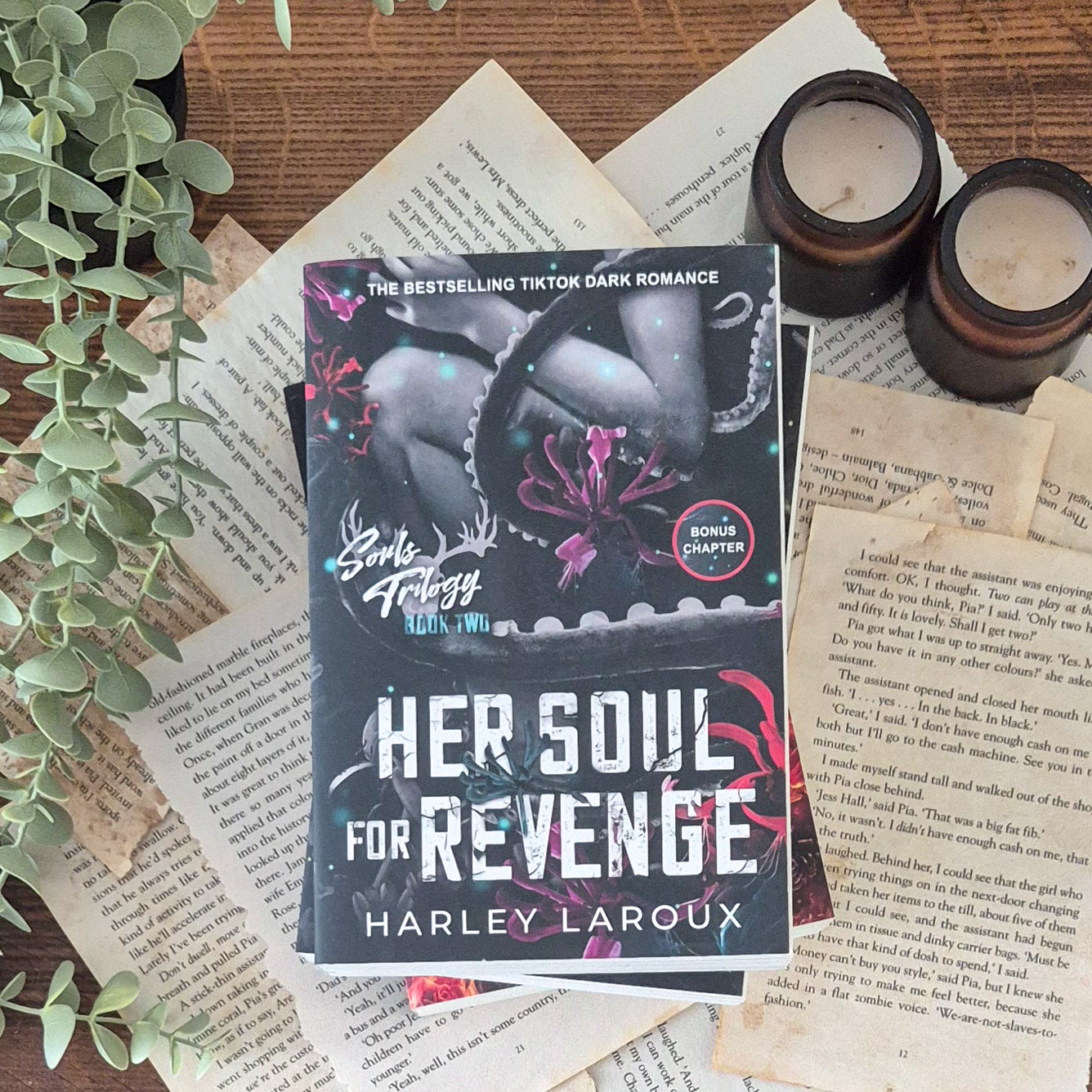 Her soul for revenge paperback by harley laroux